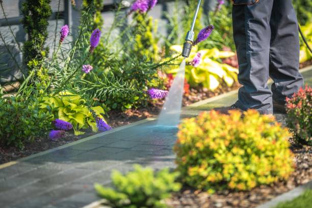 Professional Pressure Washing Services in Eastport, NY